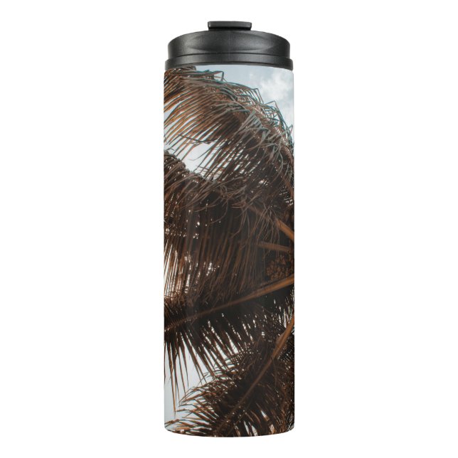 Garrafa Térmica Foto de baixo ângulo do coco (Frente)