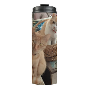 Garrafa Térmica Foto de Gato Laranja
