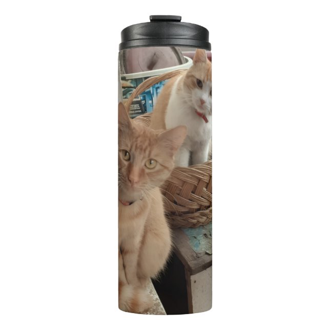 Garrafa Térmica Foto de Gato Laranja (Frente)