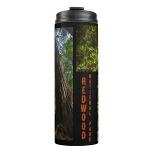Garrafa Térmica Foto do Parque Nacional Redwood