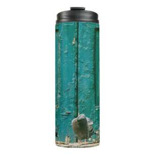 GARRAFA TÉRMICA FOTO PRÓXIMA DE DOIS PIGEÕES DE CINZA NA CONCRET