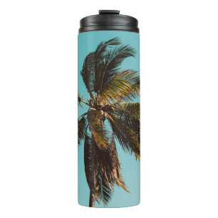 Garrafa Térmica Fotografia de baixo ângulo do coco