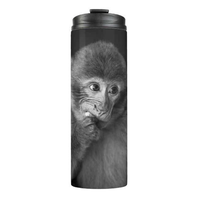 GARRAFA TÉRMICA FOTOGRAFIA DE FOCO BARATO DE MACACO NEGRO (Frente)