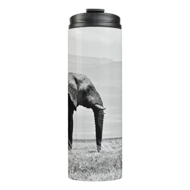 GARRAFA TÉRMICA FOTOGRAFIA GRAYSCALE DE ELEPHANT (Frente)