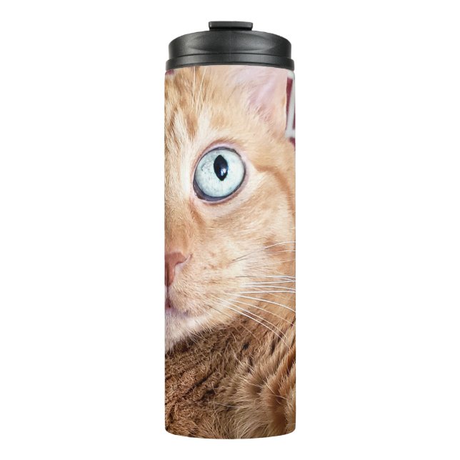 Garrafa Térmica Frankie (Frente)