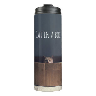 Garrafa Térmica Gato numa caixa. O mestre do gato Zen.