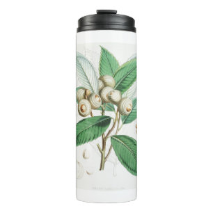 Garrafa Térmica Green Bull Oak