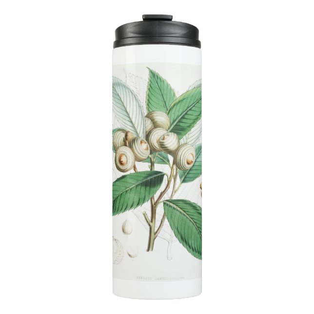 Garrafa Térmica Green Bull Oak (Frente)