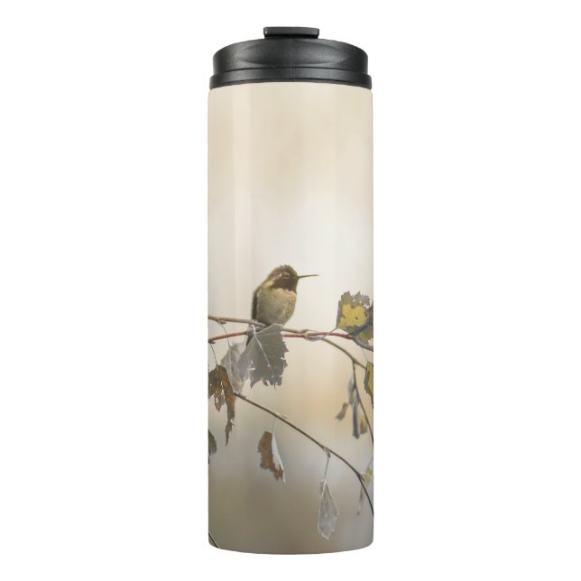 Garrafa Térmica Hummingbird 5265 (Frente)