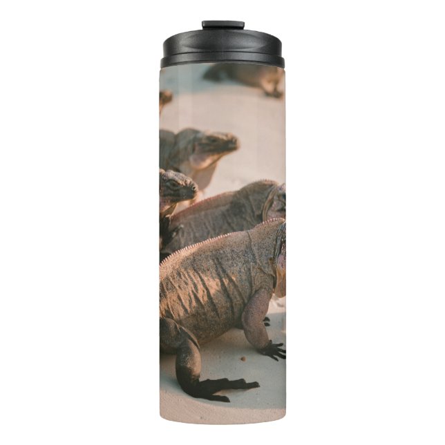 GARRAFA TÉRMICA ILHA IGUANA (Frente)