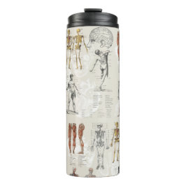 Garrafa Térmica Ilustrações de Biologia da Anatomia Vintage