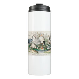 Garrafa Térmica image-from-rawpixel-id-411915.jpg