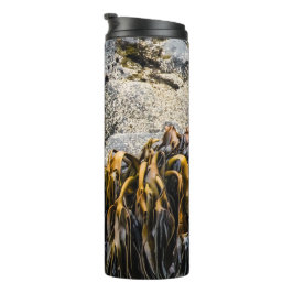 Garrafa Térmica Jovem Selo De Peles Na Rocha