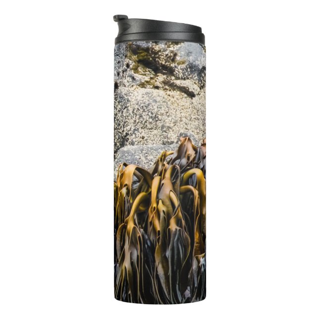 Garrafa Térmica Jovem Selo De Peles Na Rocha (Rotação à direita)