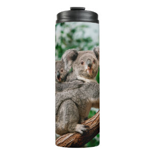 Garrafa Térmica Koala, phascolarctos cinereus, carregando feminino