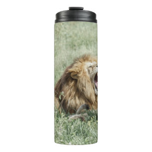 GARRAFA TÉRMICA LION DEITADO NA GRAMA VERDE DURANTE O DIA