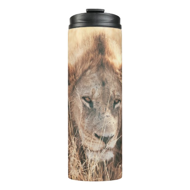 GARRAFA TÉRMICA LION KING (Frente)