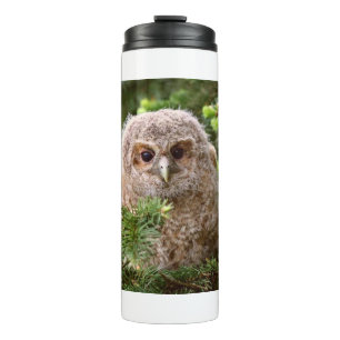 Garrafa Térmica Little Owl 11