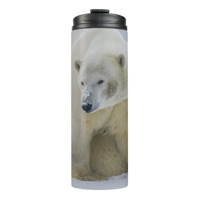 GARRAFA TÉRMICA MÃE DE URSO POLAR E NORTE DE CUB ALASKA (Frente)