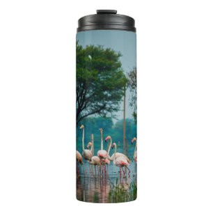 Garrafa Térmica Maior rebanho flamingo no habitat natural. Uma nat