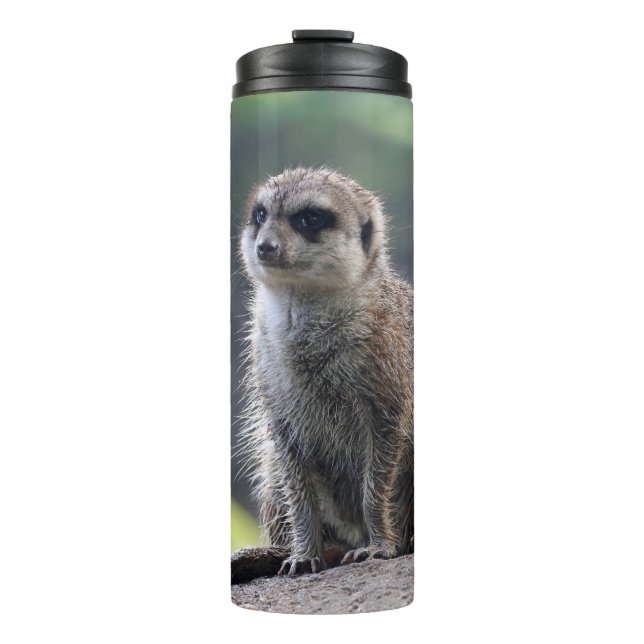 Garrafa Térmica Meerkat_20171101_by_JAMFoto (Frente)