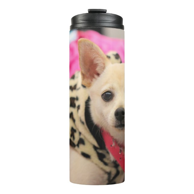 Garrafa Térmica Minúsculo auxiliar (Frente)