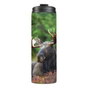 Garrafa Térmica Moose