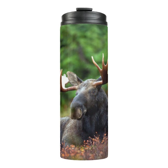 Garrafa Térmica Moose (Frente)