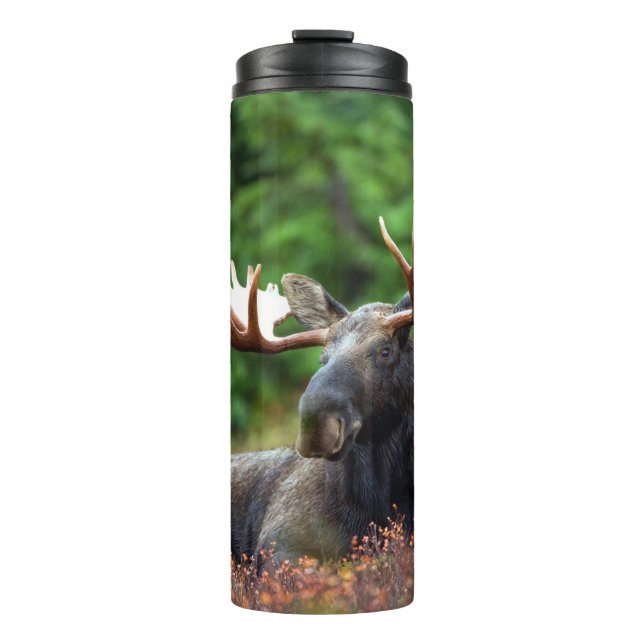 Garrafa Térmica Moose (Frente)