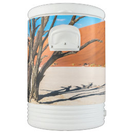 Garrafa Térmica Morto em Deadvlei, Namíbia