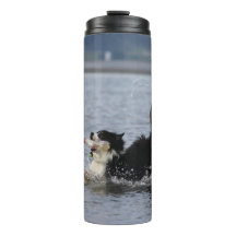 O cão parvo na água, tumbler, personaliza