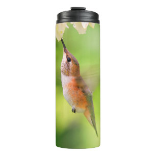 Garrafa Térmica O colibri Rufous sorve o néctar da flor do mirtil