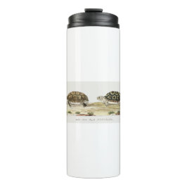 Garrafa Térmica Padloper Tortoise