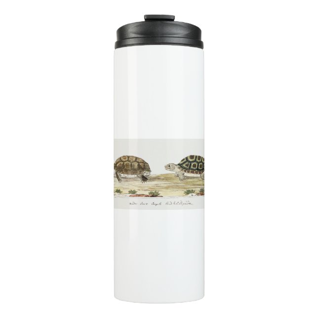 Garrafa Térmica Padloper Tortoise (Frente)