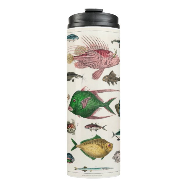 Garrafa Térmica peixe, oceano, fofo, mar, água, animais, pesca (Frente)