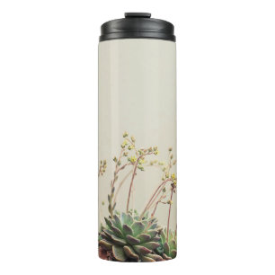 GARRAFA TÉRMICA PEQUENO JARDIM SUCCULTOR