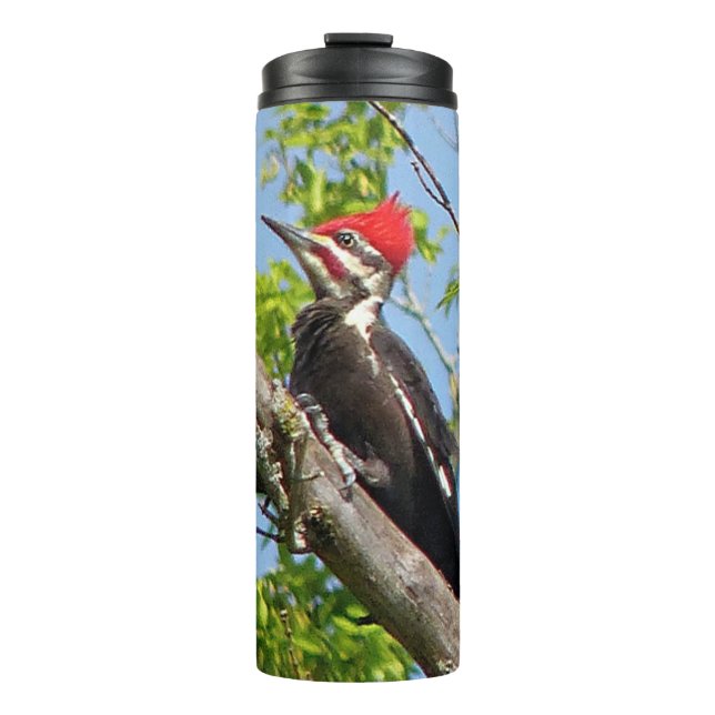 Garrafa Térmica Pica-Pau Pileado Masculino (Frente)