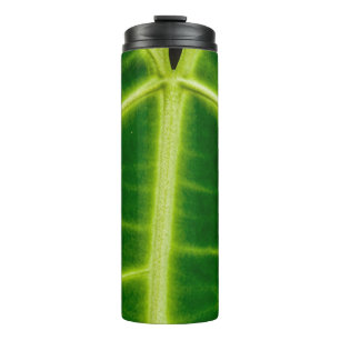 Garrafa Térmica Planta de folhas verdes