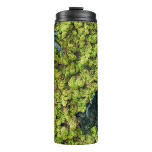 Garrafa Térmica Plantas de folhas verdes