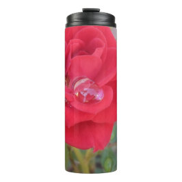 Garrafa Térmica Portátil