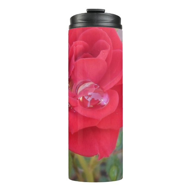 Garrafa Térmica Portátil (Frente)