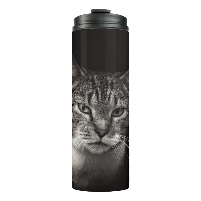 GARRAFA TÉRMICA PRATA TABBY CAT (Frente)