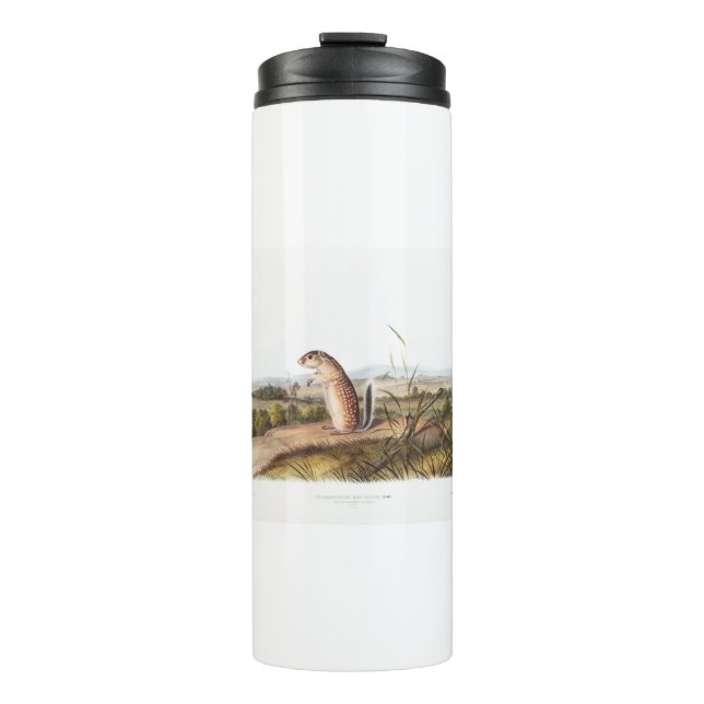 Garrafa Térmica Presentes do Deco de Acampamento do Esquilo Marmot (Frente)