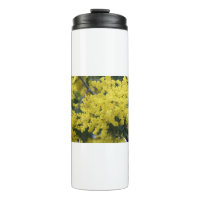 Ramo de mimosa