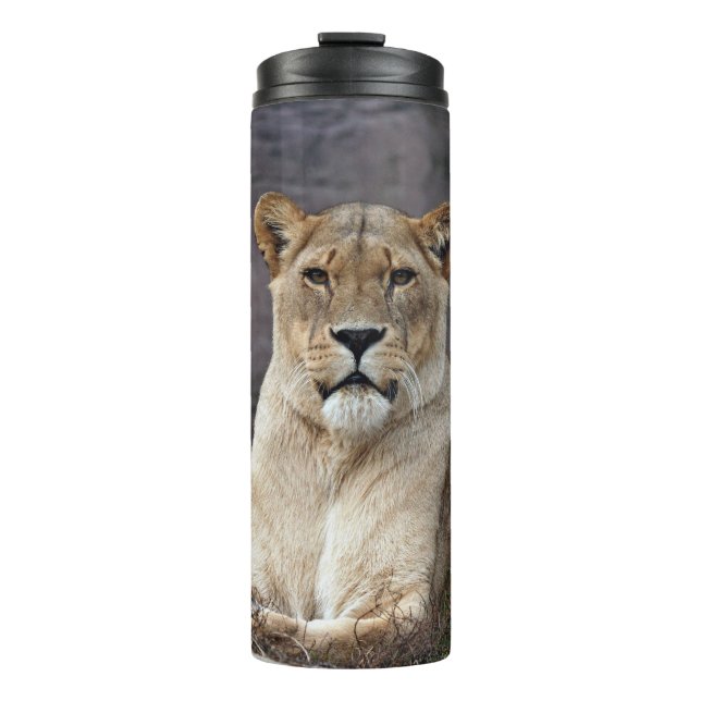 GARRAFA TÉRMICA RELAXAÇÃO DE LIONABILIDADE (Frente)