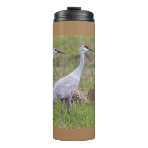 Garrafa Térmica Sand Hill Crane Thermal Tumbler