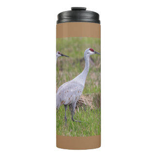 Garrafa Térmica Sand Hill Crane Thermal Tumbler