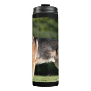 Garrafa Térmica Sun-Kissed no parque