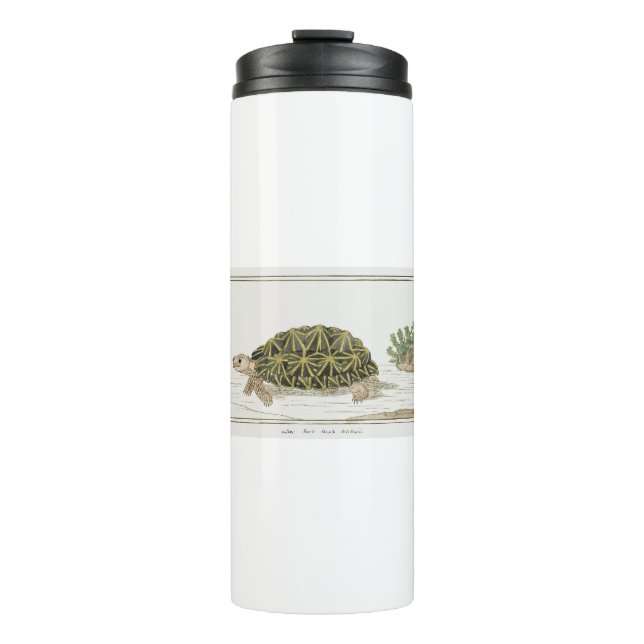 Garrafa Térmica Tent Tortoise | Turtle Beach Sea Animal (Frente)