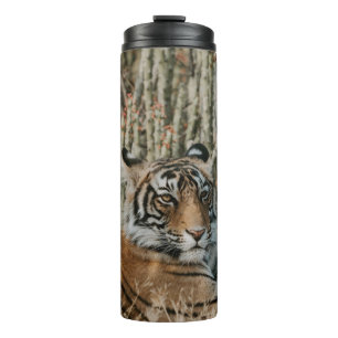 GARRAFA TÉRMICA TIGER IN THE WILD RESTING